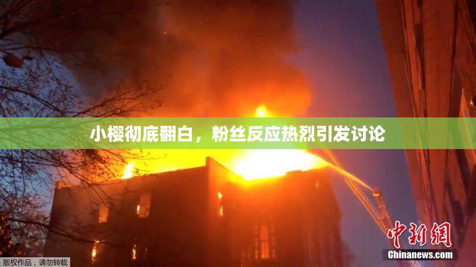 小樱彻底翻白，粉丝反应热烈引发讨论