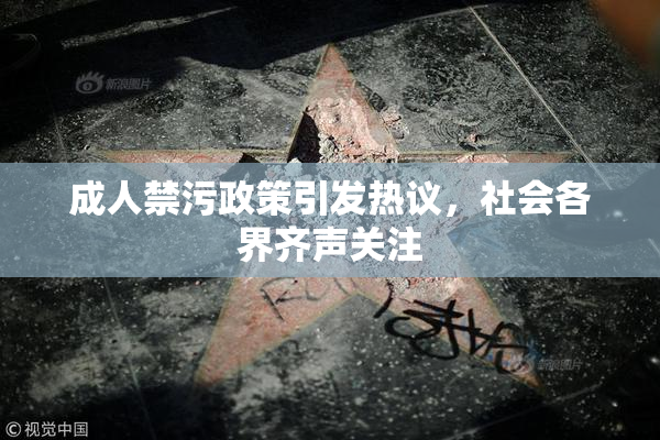 成人禁污政策引发热议，社会各界齐声关注