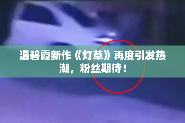 温碧霞新作《灯草》再度引发热潮，粉丝期待！
