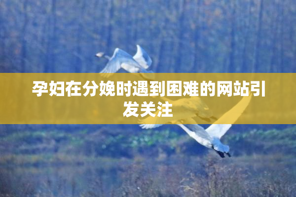 孕妇在分娩时遇到困难的网站引发关注