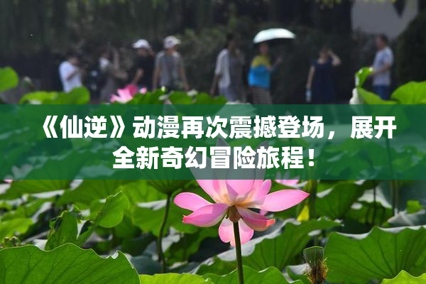 《仙逆》动漫再次震撼登场，展开全新奇幻冒险旅程！