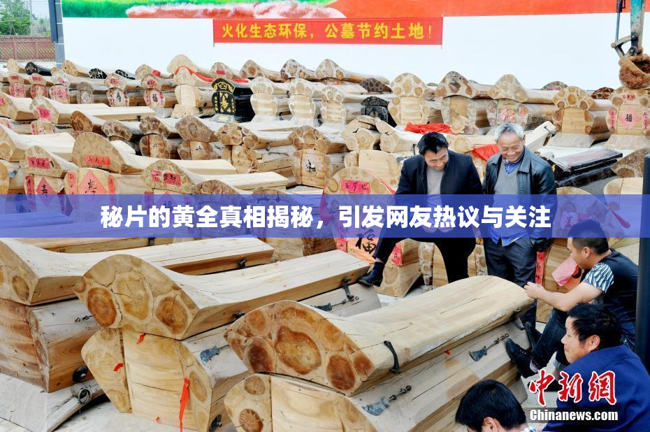 秘片的黄全真相揭秘，引发网友热议与关注