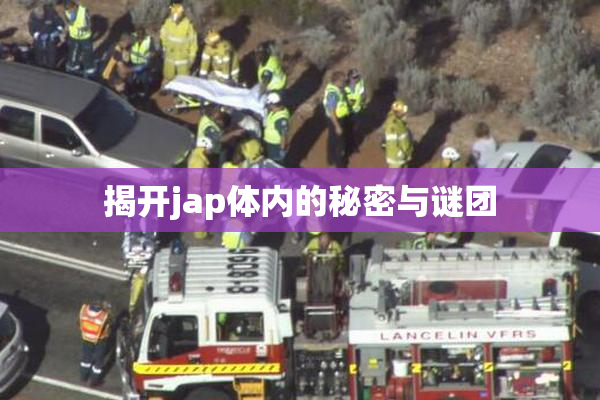 揭开jap体内的秘密与谜团