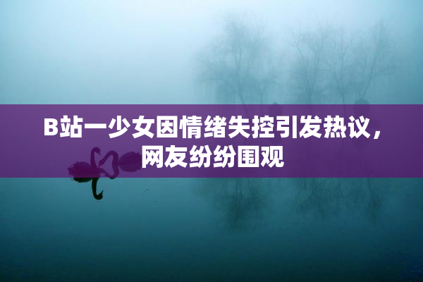 B站一少女因情绪失控引发热议，网友纷纷围观