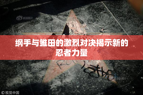纲手与雏田的激烈对决揭示新的忍者力量
