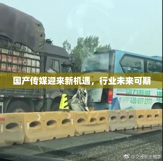 国产传媒迎来新机遇，行业未来可期