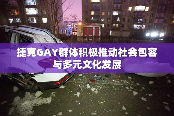 捷克GAY群体积极推动社会包容与多元文化发展