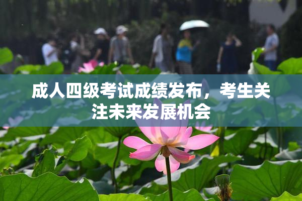 成人四级考试成绩发布，考生关注未来发展机会