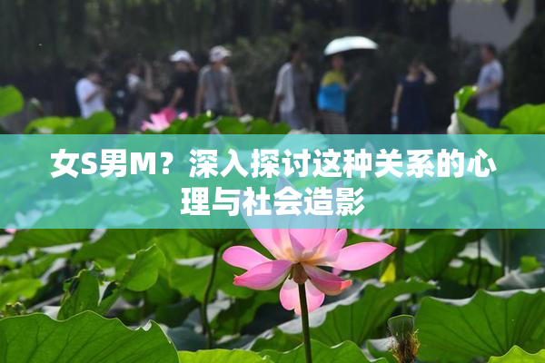 女S男M？深入探讨这种关系的心理与社会造影