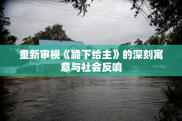 重新审视《跪下给主》的深刻寓意与社会反响