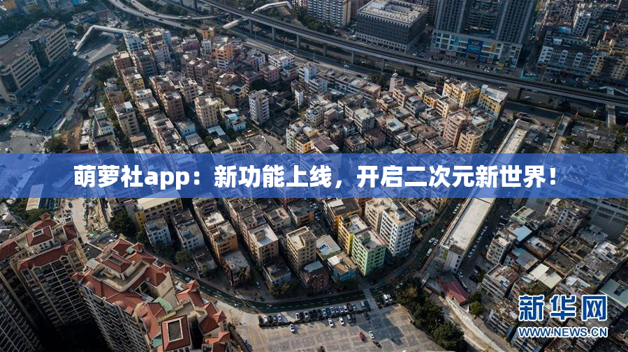 萌萝社app：新功能上线，开启二次元新世界！
