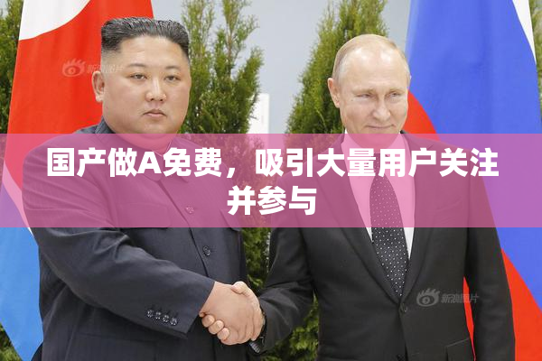 国产做A免费，吸引大量用户关注并参与