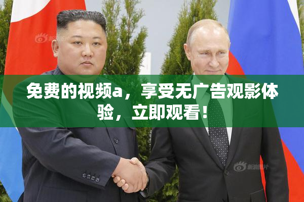 免费的视频a，享受无广告观影体验，立即观看！