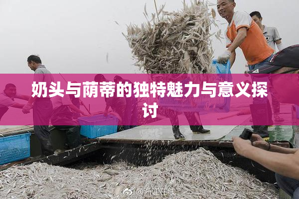 奶头与荫蒂的独特魅力与意义探讨