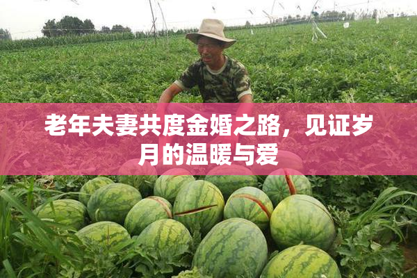 老年夫妻共度金婚之路，见证岁月的温暖与爱