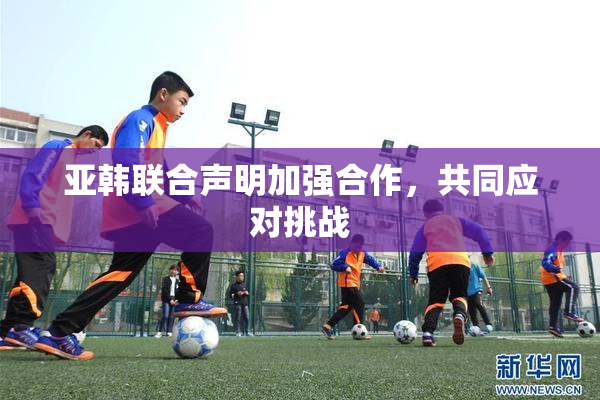 亚韩联合声明加强合作，共同应对挑战