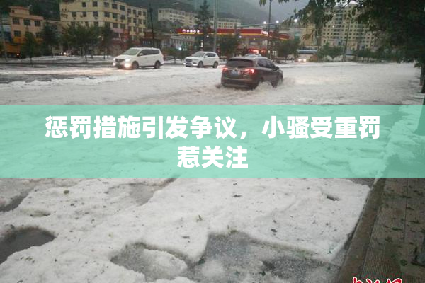 惩罚措施引发争议，小骚受重罚惹关注