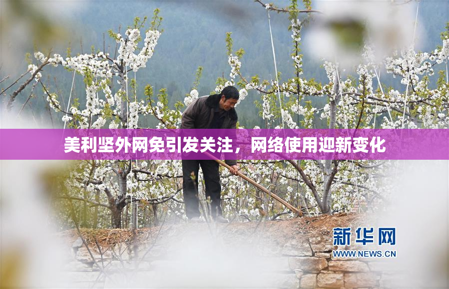 美利坚外网免引发关注，网络使用迎新变化
