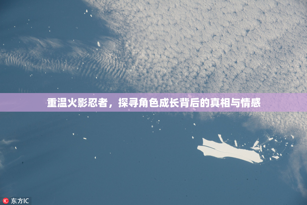 重温火影忍者，探寻角色成长背后的真相与情感