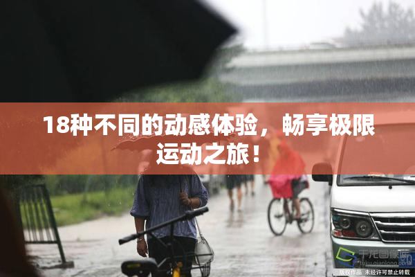18种不同的动感体验，畅享极限运动之旅！