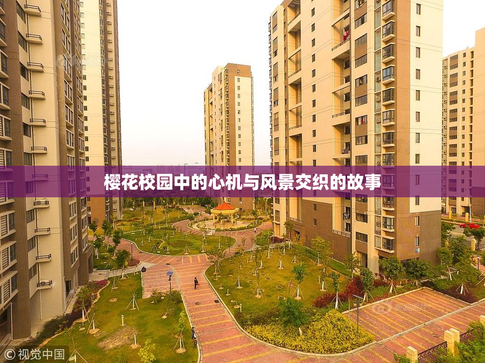 樱花校园中的心机与风景交织的故事