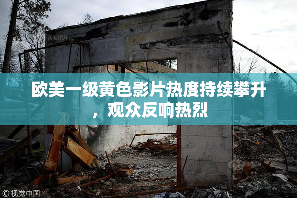 欧美一级黄色影片热度持续攀升，观众反响热烈