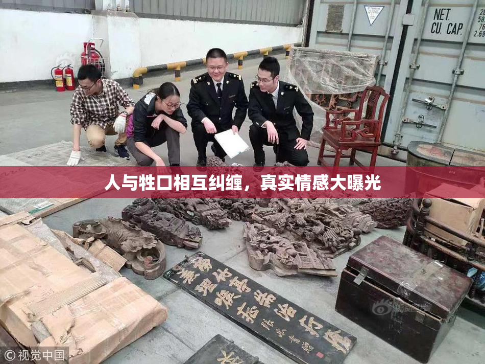 人与牲口相互纠缠，真实情感大曝光