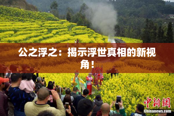 公之浮之：揭示浮世真相的新视角！