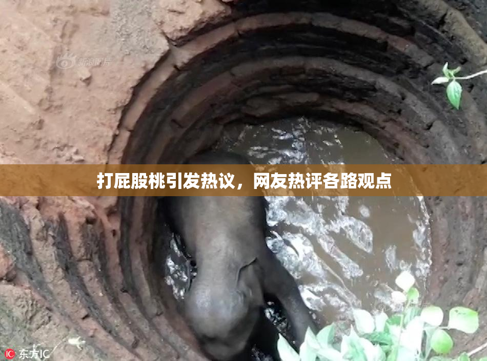 打屁股桃引发热议，网友热评各路观点