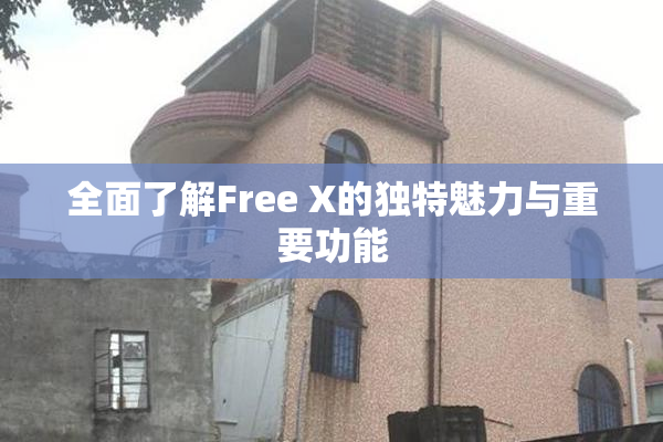 全面了解Free X的独特魅力与重要功能