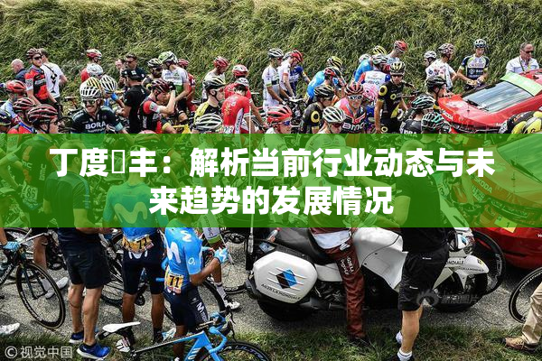 丁度巜丰：解析当前行业动态与未来趋势的发展情况