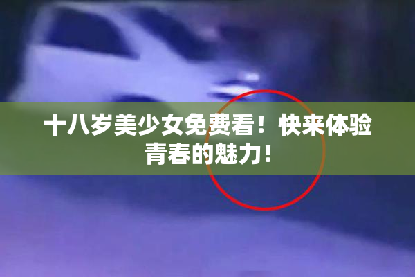 十八岁美少女免费看！快来体验青春的魅力！