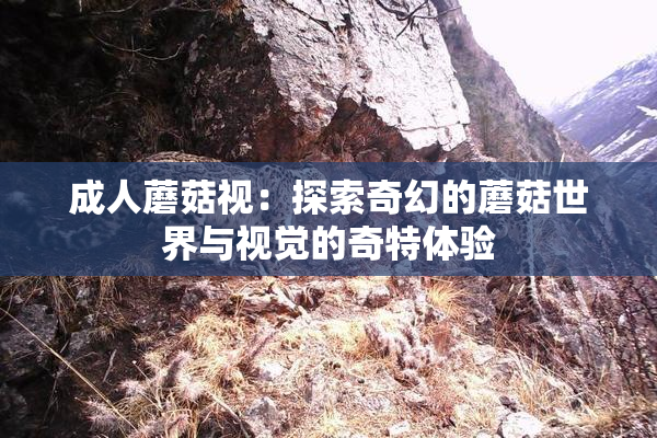 成人蘑菇视：探索奇幻的蘑菇世界与视觉的奇特体验
