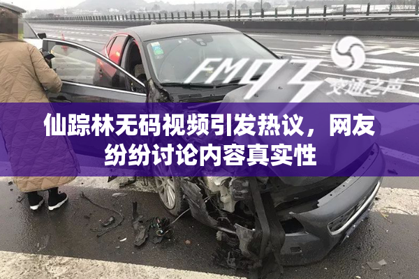 仙踪林无码视频引发热议，网友纷纷讨论内容真实性