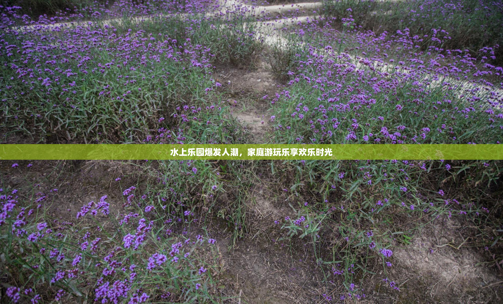 水上乐园爆发人潮，家庭游玩乐享欢乐时光
