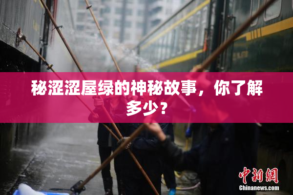 秘涩涩屋绿的神秘故事，你了解多少？