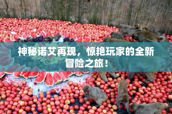 神秘诺艾再现，惊艳玩家的全新冒险之旅！
