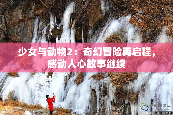 少女与动物2：奇幻冒险再启程，感动人心故事继续