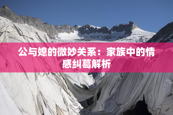 公与媳的微妙关系：家族中的情感纠葛解析