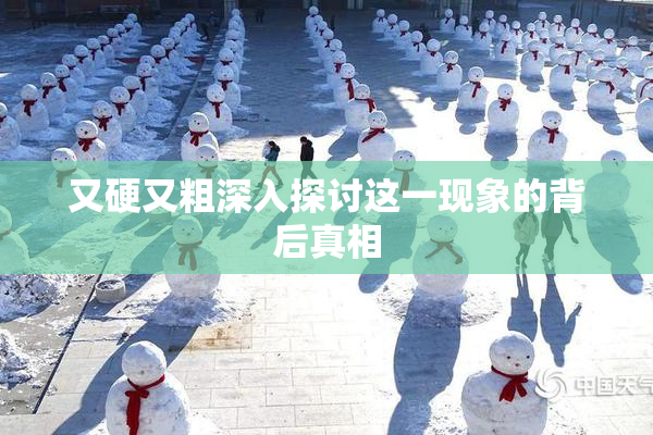 又硬又粗深入探讨这一现象的背后真相