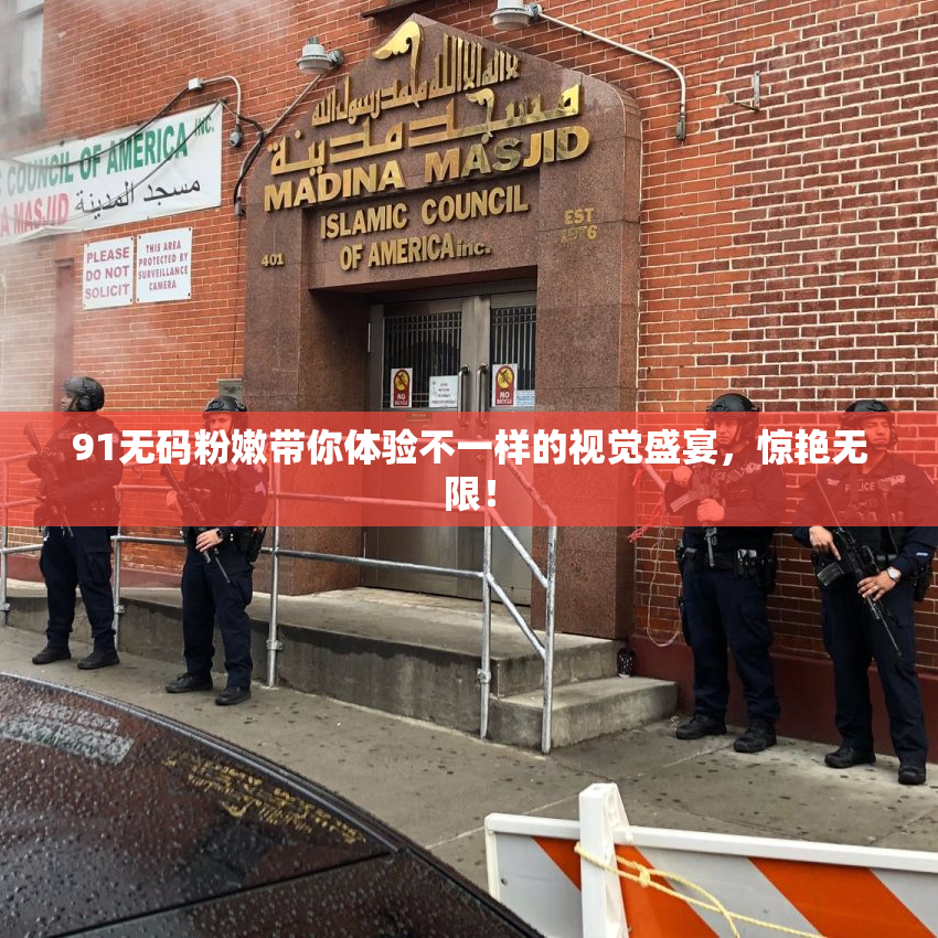 91无码粉嫩带你体验不一样的视觉盛宴，惊艳无限！