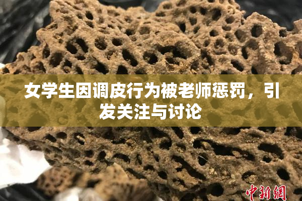 女学生因调皮行为被老师惩罚，引发关注与讨论