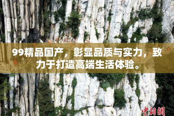 99精品国产，彰显品质与实力，致力于打造高端生活体验。