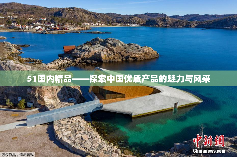 51国内精品——探索中国优质产品的魅力与风采