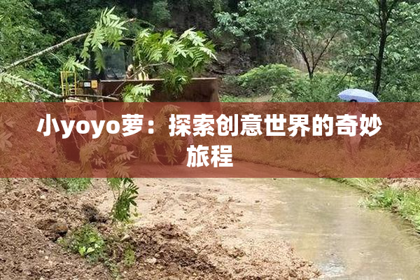 小yoyo萝：探索创意世界的奇妙旅程