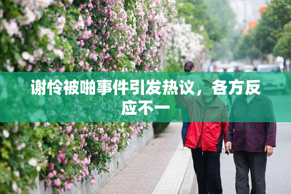 谢怜被啪事件引发热议，各方反应不一