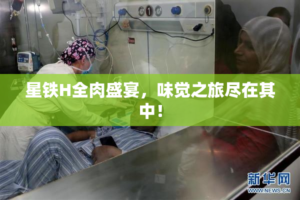 星铁H全肉盛宴，味觉之旅尽在其中！