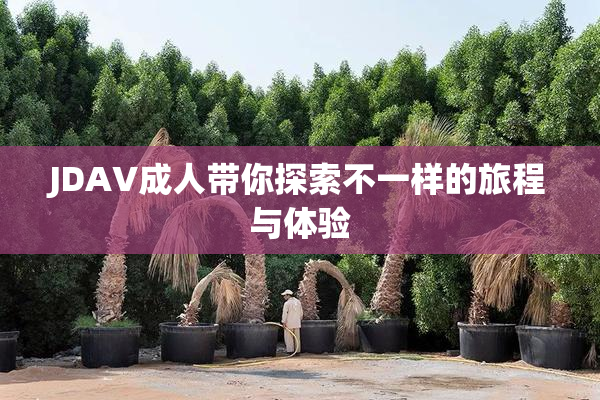 JDAV成人带你探索不一样的旅程与体验