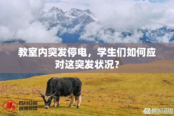 教室内突发停电，学生们如何应对这突发状况？