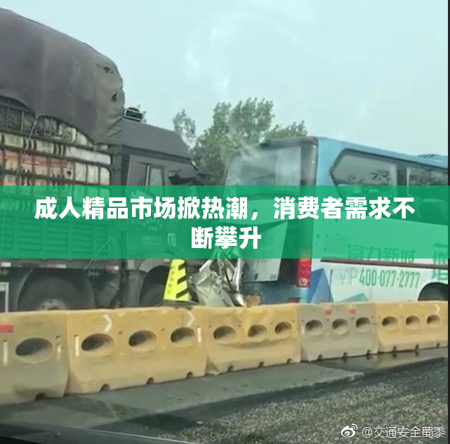 成人精品市场掀热潮，消费者需求不断攀升